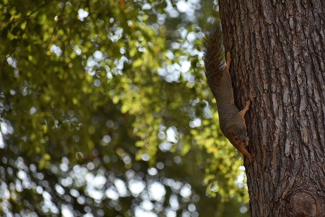 前的比赛中 前的比赛中