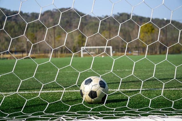 科瓦西奇的 科瓦西奇的