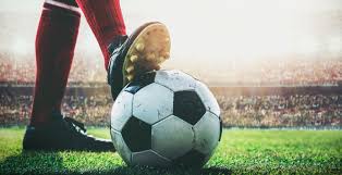 的预测固然 的预测固然