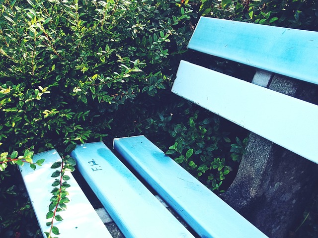 赛和决赛 赛和决赛