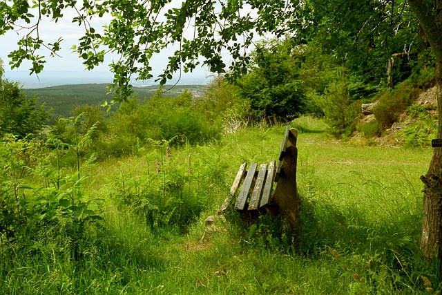安永佳：专业足球场氛围很美妙 玉昆的徐宏杰让我印象最深刻.