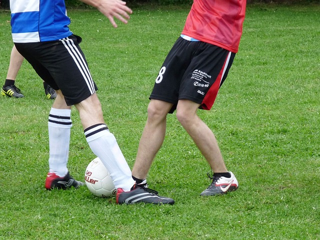 尼耶的完美 尼耶的完美