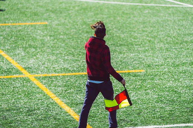 他們不僅晉 他們不僅晉